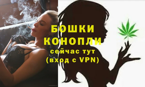 молекула духа Ижевск