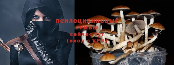 apvp Санкт-Петербург