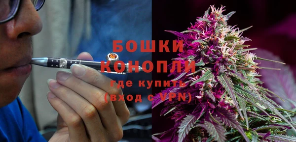apvp Санкт-Петербург