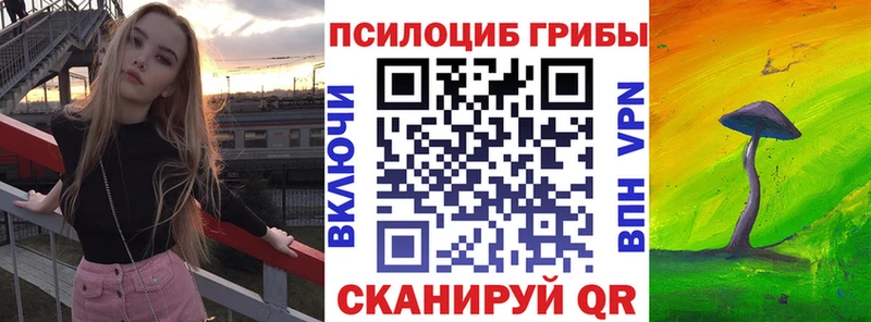 Галлюциногенные грибы прущие грибы  Бодайбо 